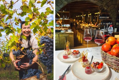 On the left side a woman harvesting grapes, on the right side a dinner table with food on two plates. 