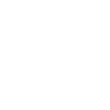 Xing Icon