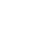 Linkedin Icon 