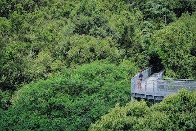 Regenwaldschutz, Green Teams und Nachtzüge