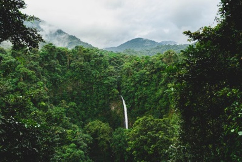 Travel Excellence aus Costa Rica macht das Rennen