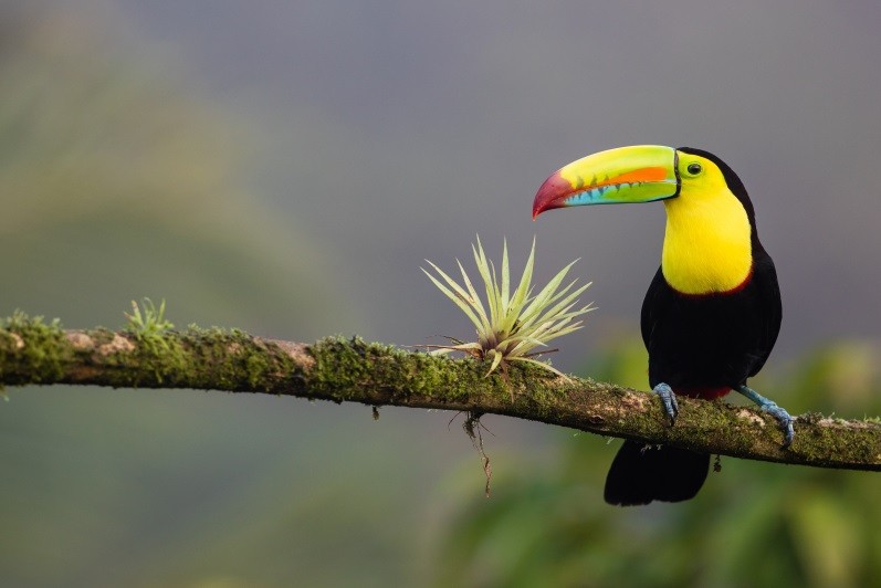 Tourismusminister von Costa Rica stellt Reisen vollständig in sozial-ökologischen Kontext