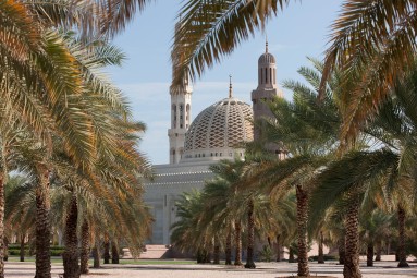 The Sultan Qaboos Grand Mosque in the background and palm trees in the foreground. 